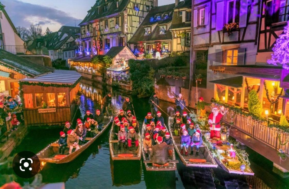 Colmar Cote Rhin Apartman Biesheim Kültér fotó