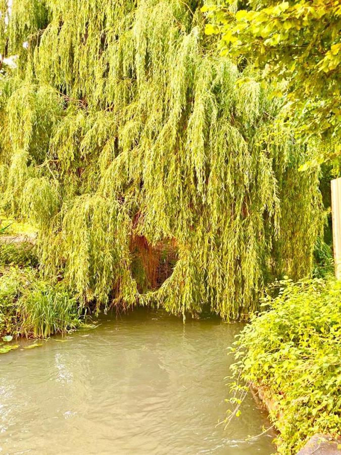 Colmar Cote Rhin Apartman Biesheim Kültér fotó